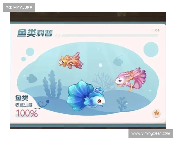 飞仙1.10攻略 飞仙1.10攻略